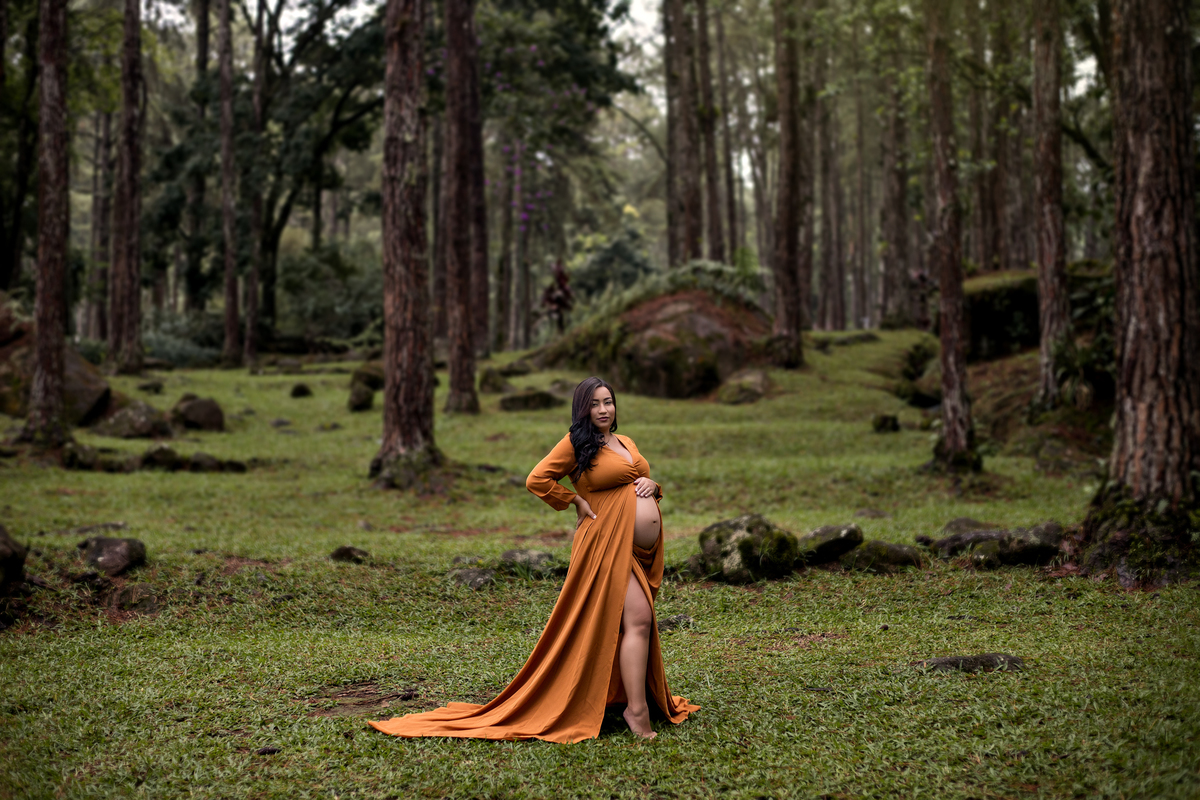 Ensaio Gestante na Serrinha do Alambary, à espera da Eloah.