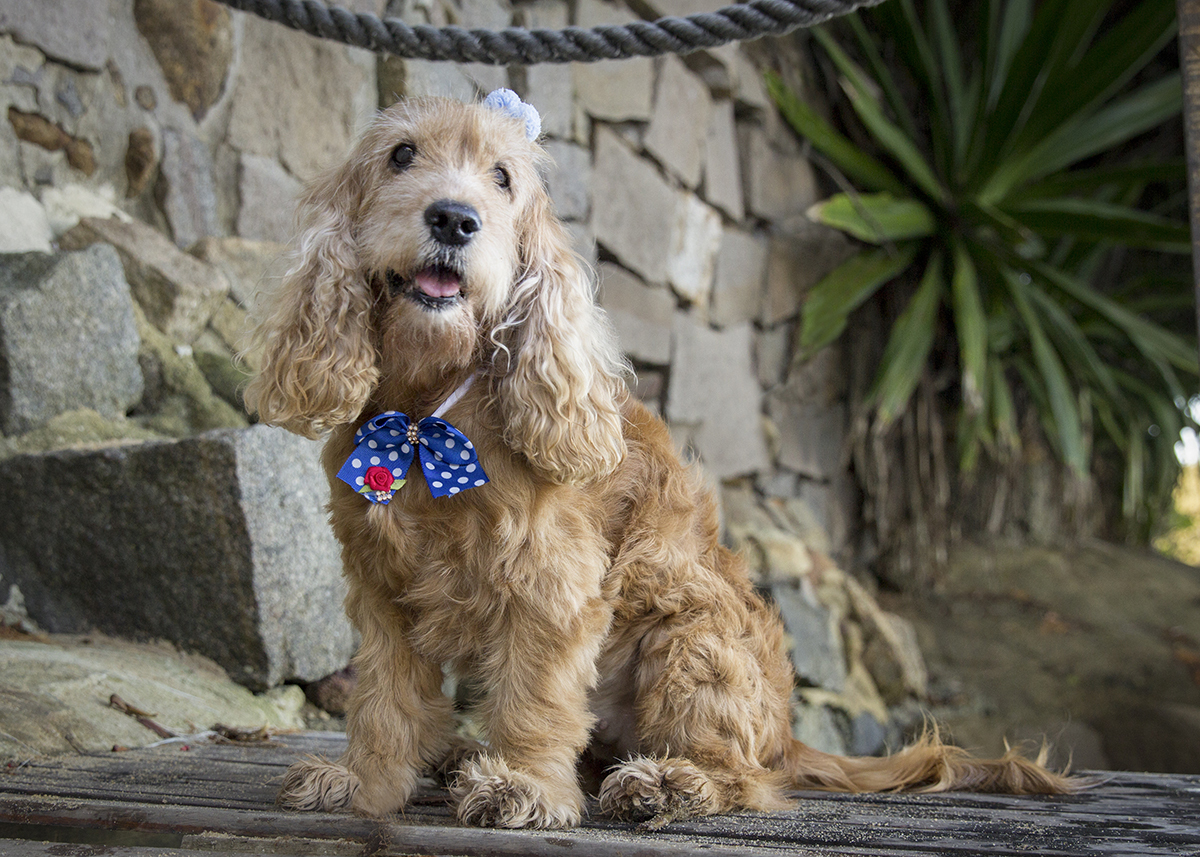 Mel, posando sentada no deck