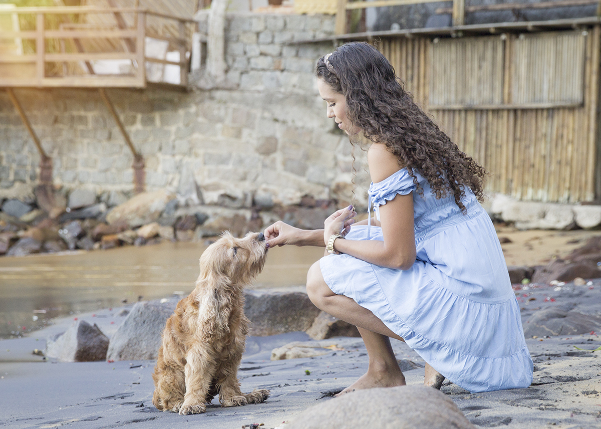 Mel, cocker Spaniel, posando na praia, junto com a mamãe, ganhando petisco