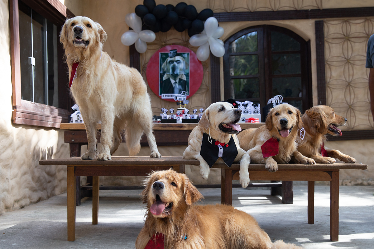 Aniversariante posando na mesa do bolo com os convidados
