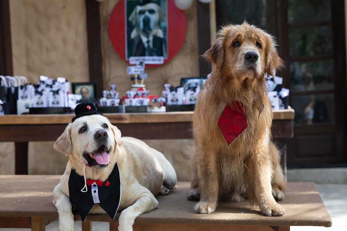 Aniversariante posando na mesa do bolo com os convidados