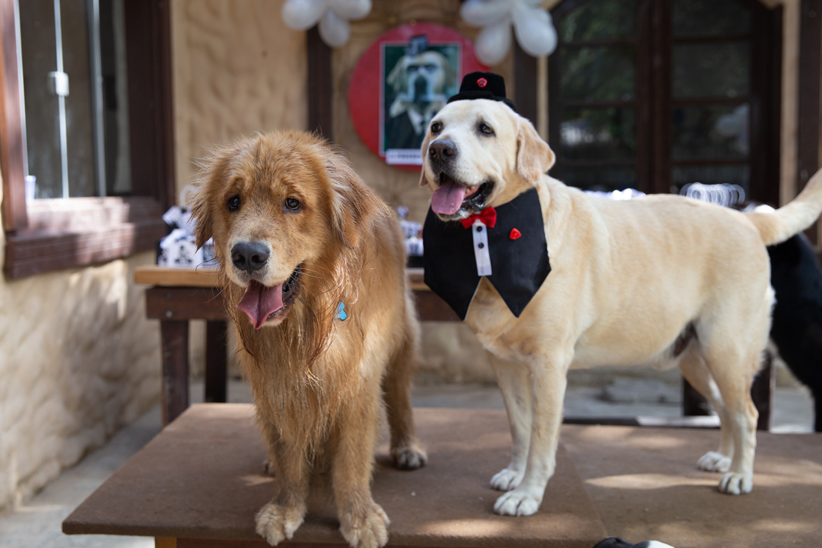 Aniversariante posando na mesa do bolo com os convidados