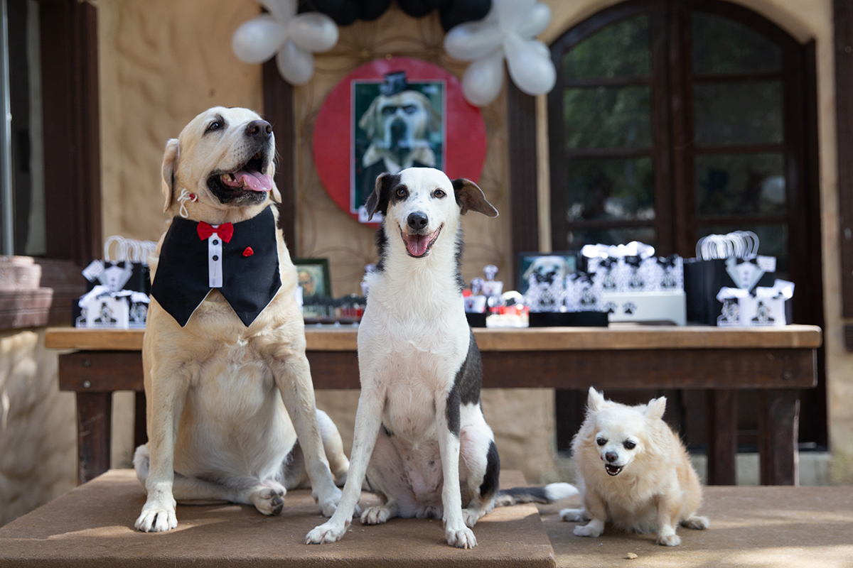 Aniversariante posando na mesa do bolo com os convidados