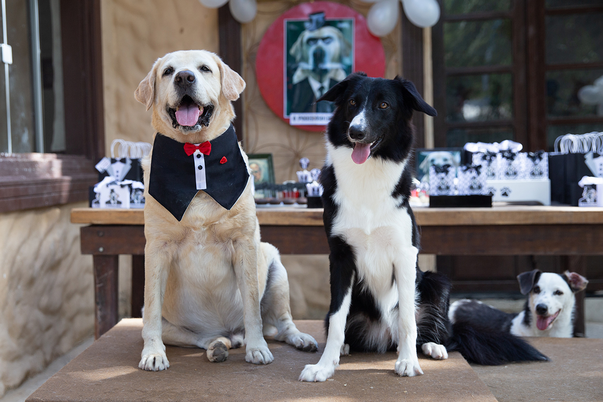 Aniversariante posando na mesa do bolo com os convidados