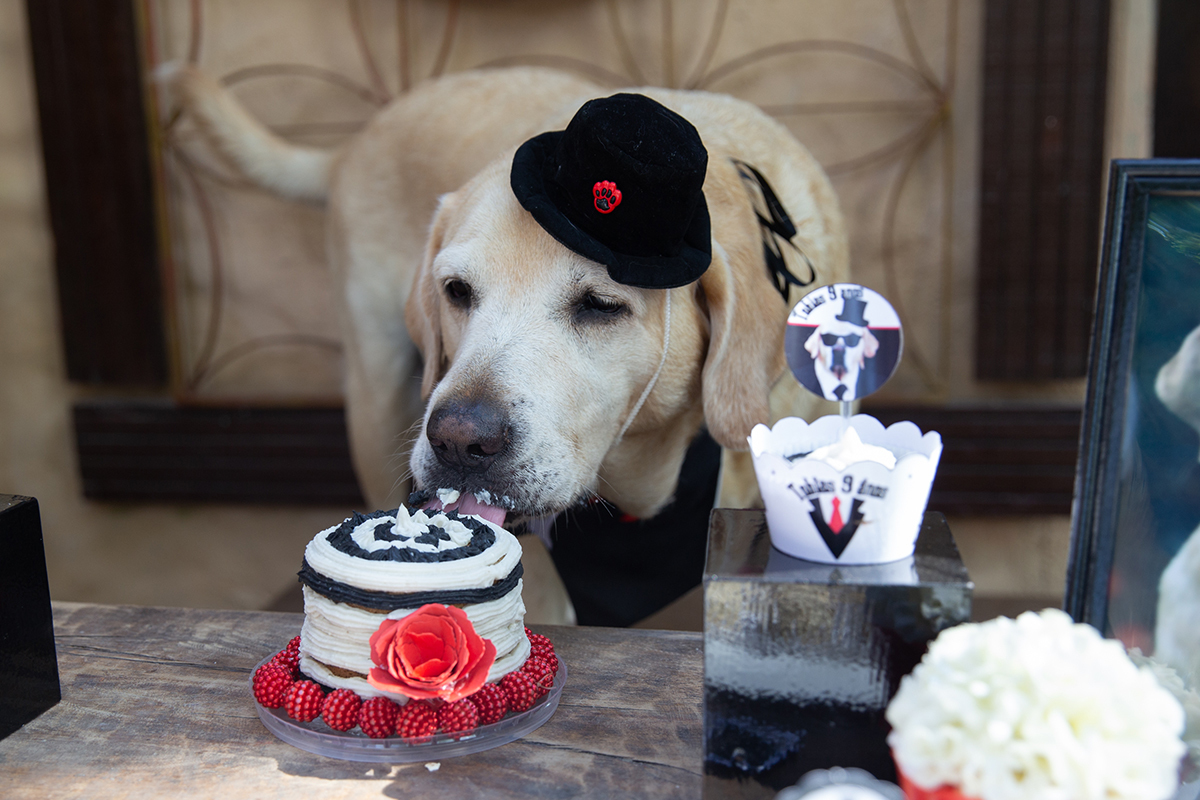 Aniversariante comendo o bolo