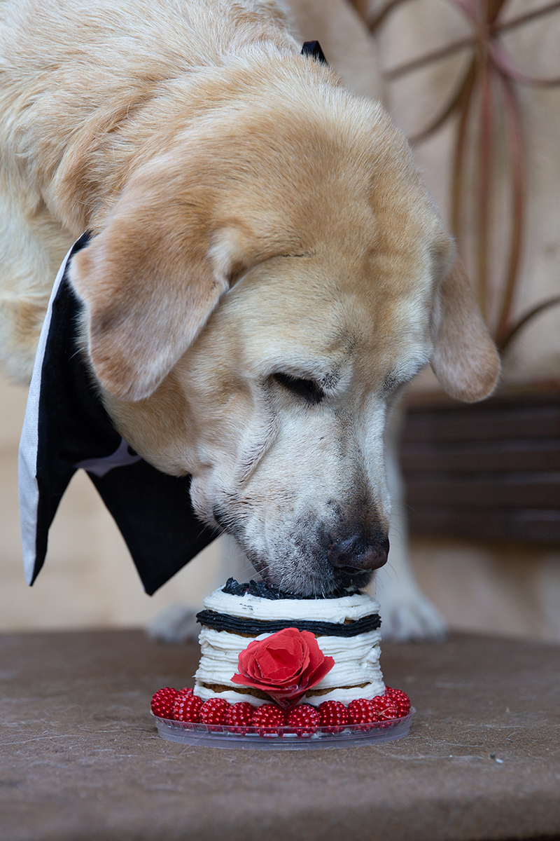 Aniversariante comendo o bolo