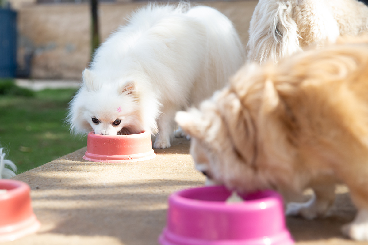 Convidados se deliciando com o bolo