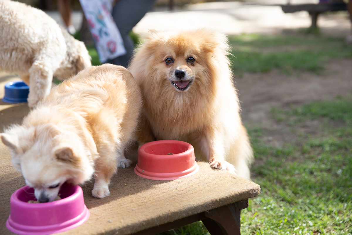 Convidados se deliciando com o bolo