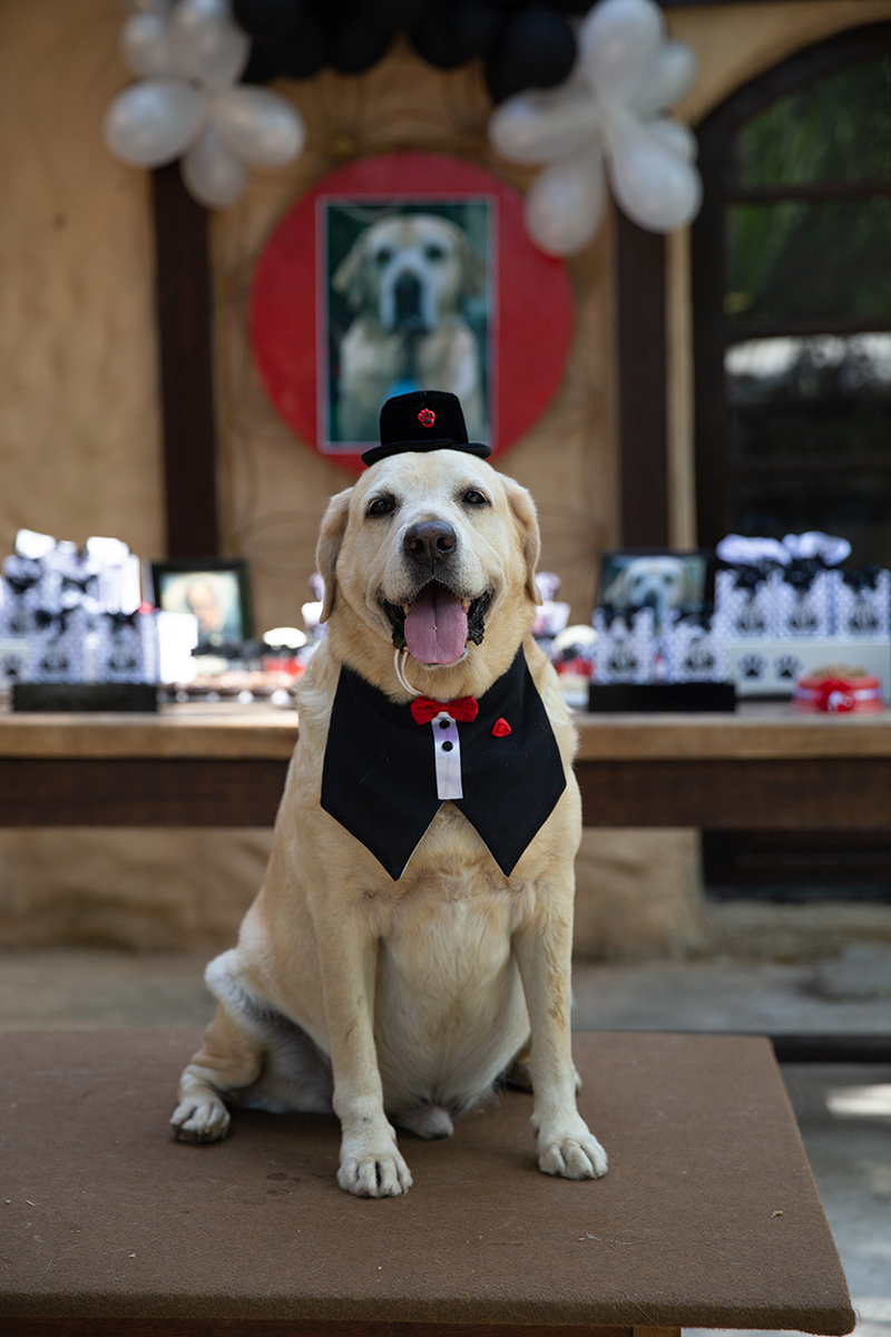 Aniversariante posando na mesa do bolo