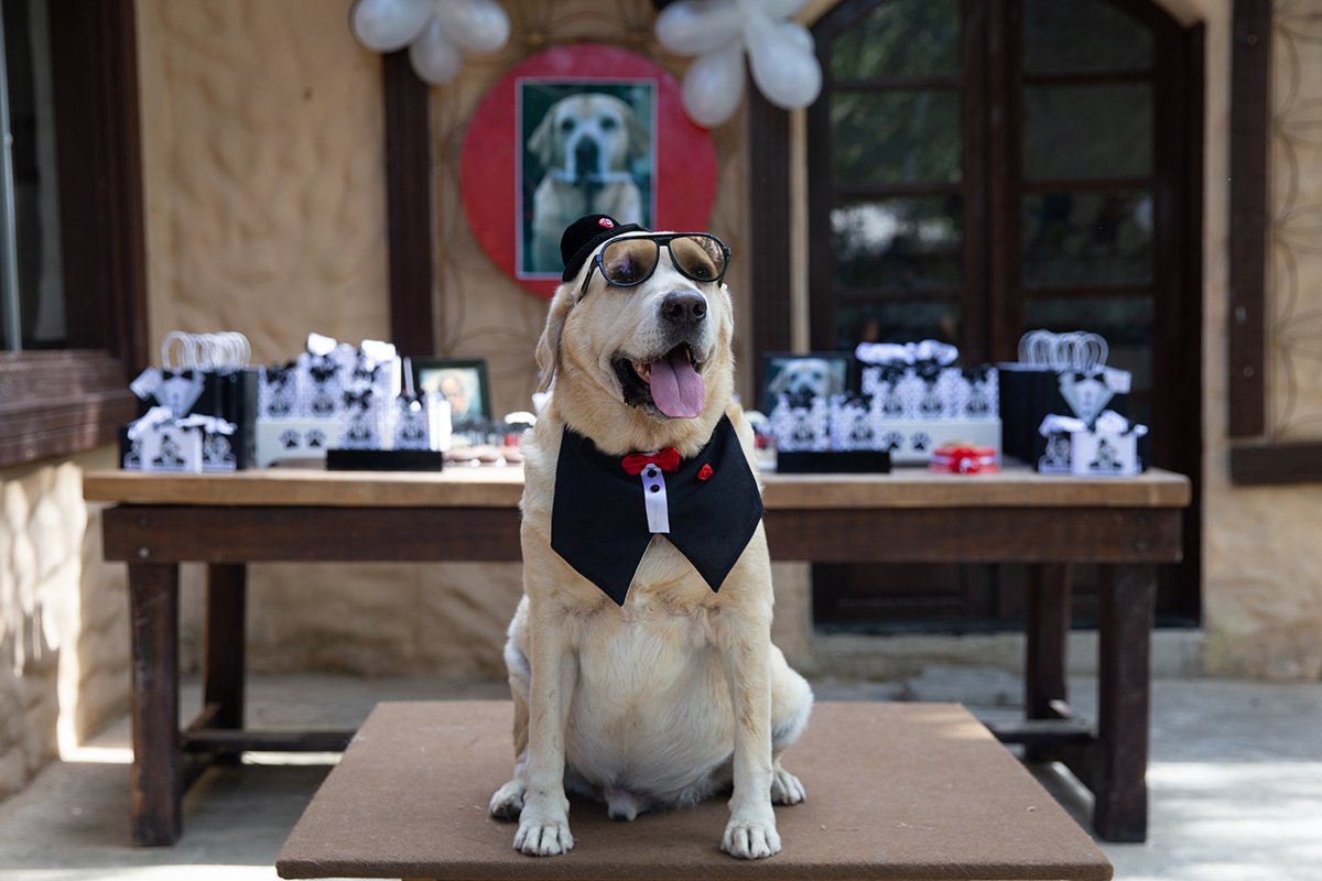 Aniversariante posando na mesa do bolo
