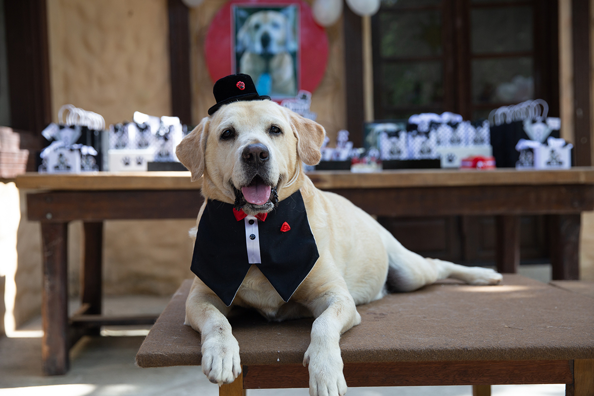 Aniversariante posando na mesa do bolo