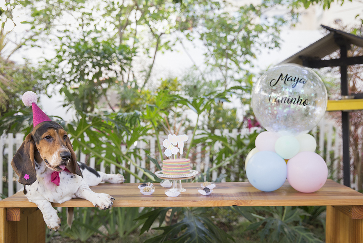 Basset Hound posando na decoração