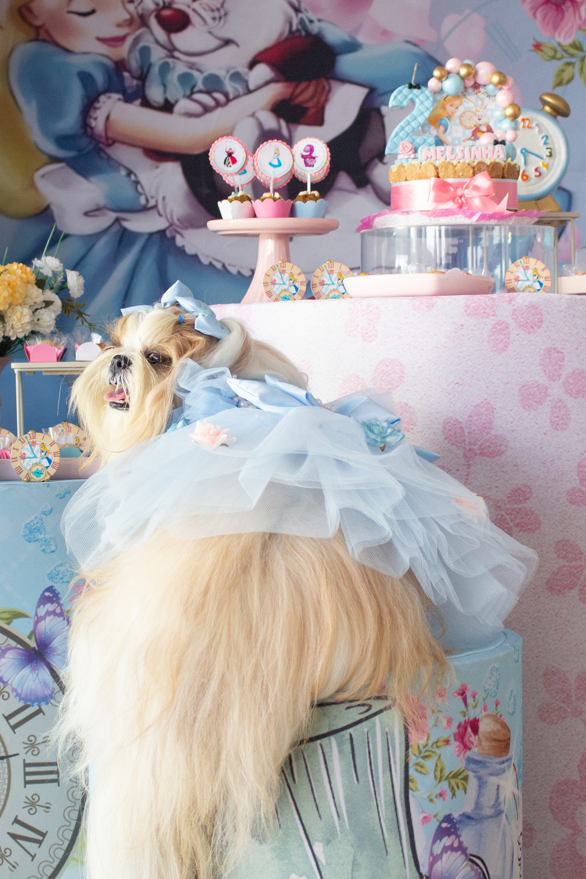 Melsinha posa com seu vestido Mar de Ideias