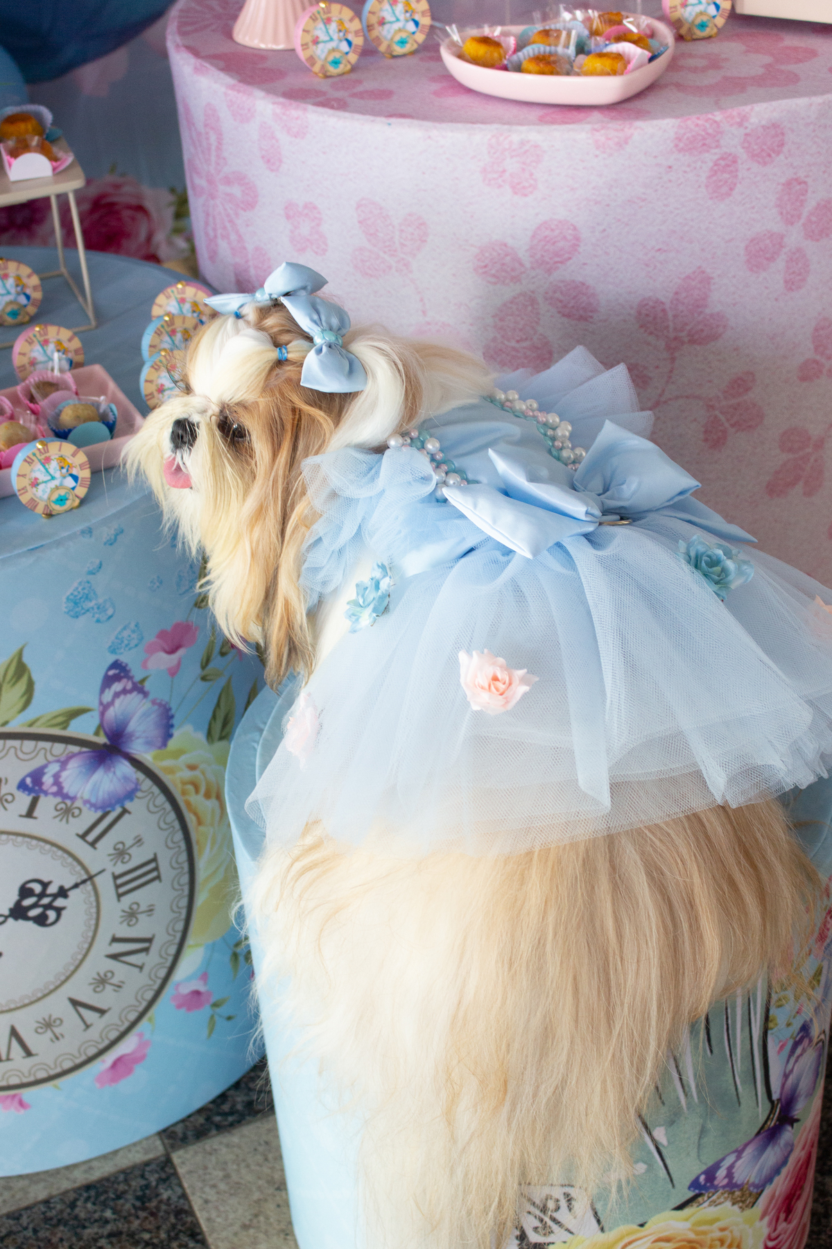 Melsinha posa com seu vestido Mar de Ideias