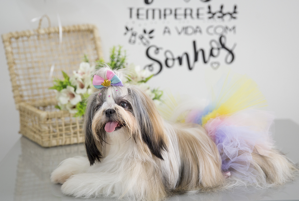 Luna posando para fotos com sua saia de Tule e seu penteado em coque