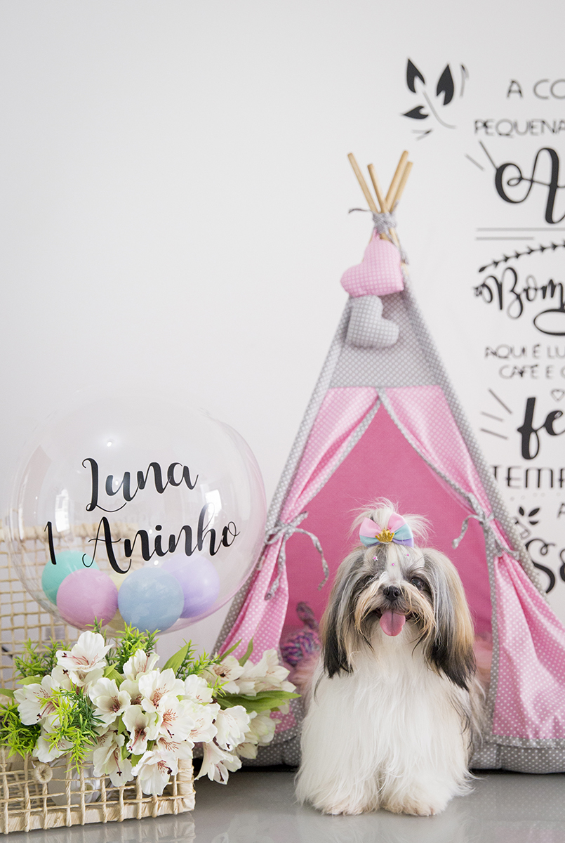 Luna, posando com seu balão decorado e sua barraca