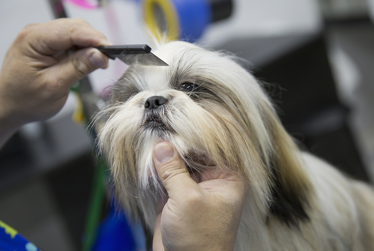 Luna no seu dia de princesa, spa, fazendo seu penteado