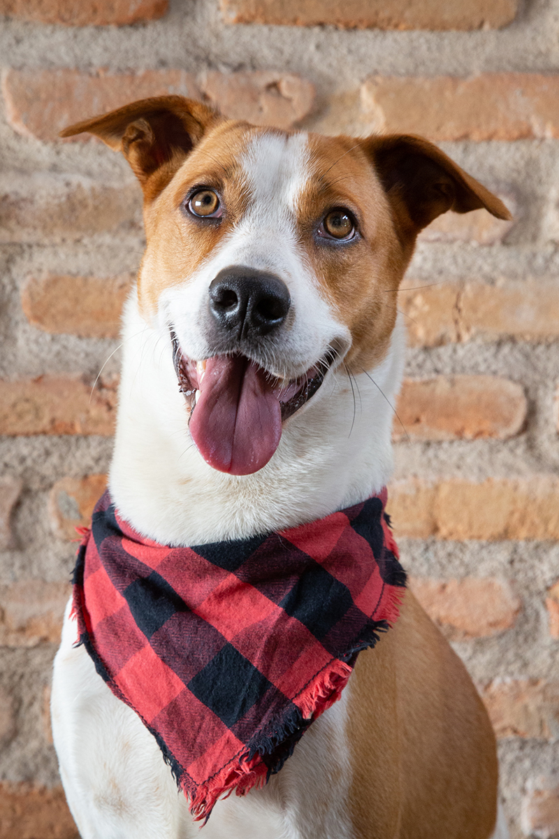 close de Tião sorrindo para câmera 