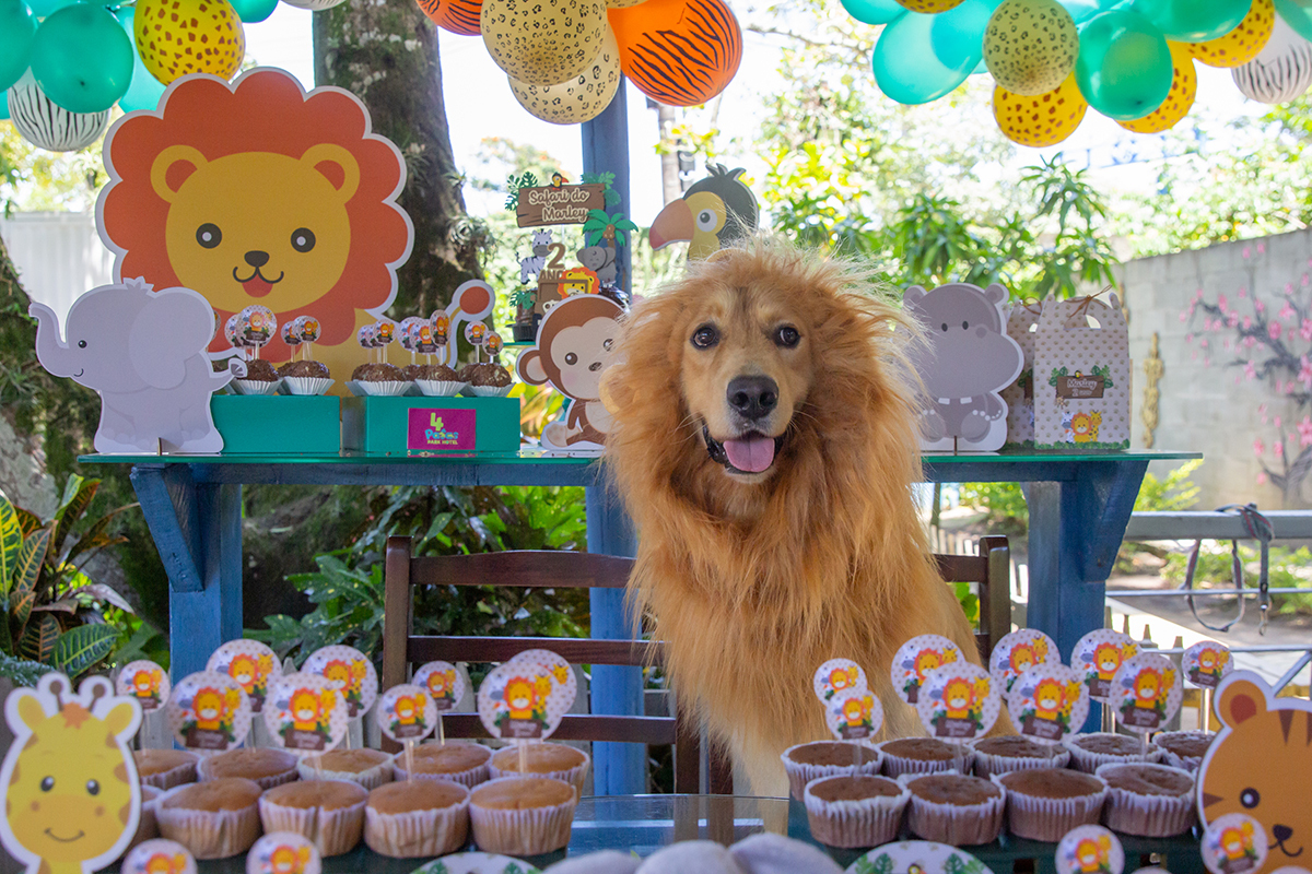 Cão fantasiado de Leão na mesa do bolo