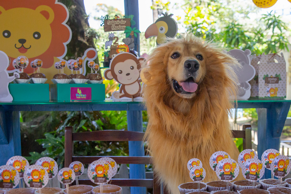 Cão fantasiado de Leão na mesa do bolo
