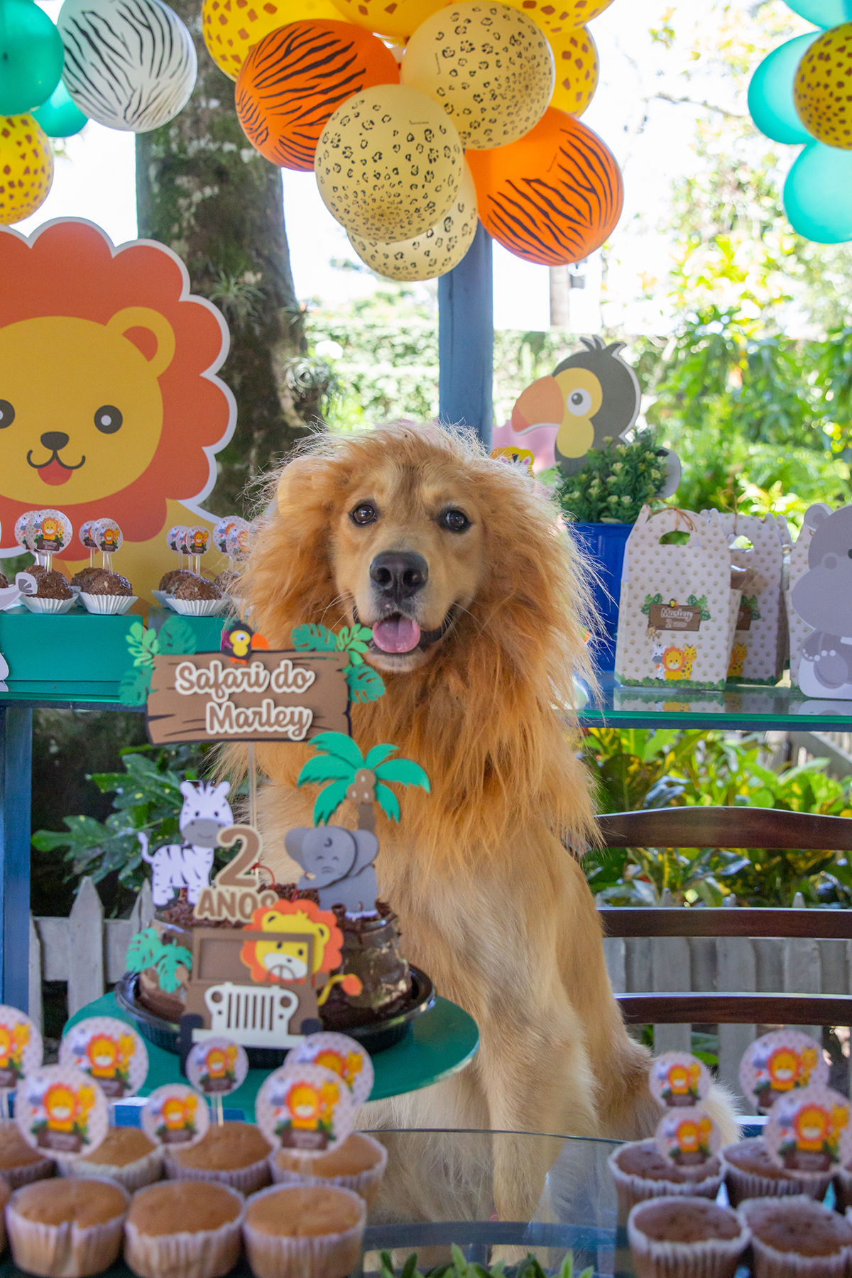 Cão fantasiado de Leão na mesa do bolo