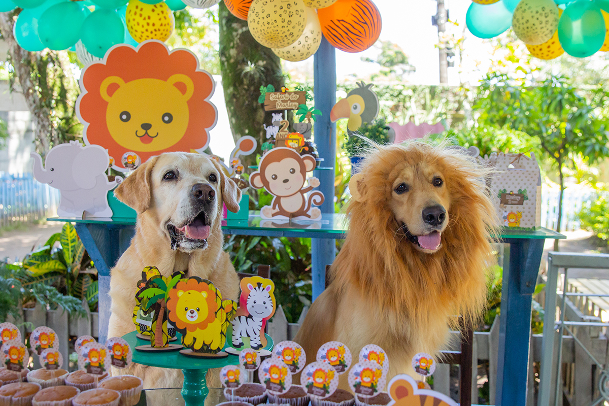Cão fantasiado de Leão na mesa do bolo, com seu amigo