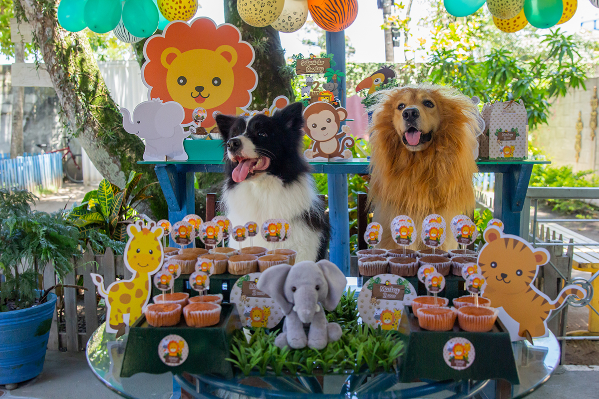 Cão fantasiado de Leão na mesa do bolo, com seu amigo