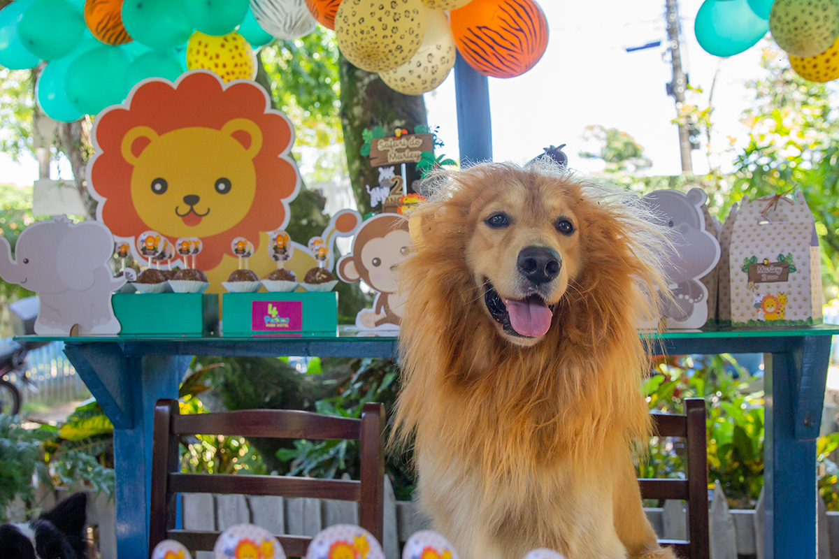 Cão fantasiado de Leão na mesa do bolo
