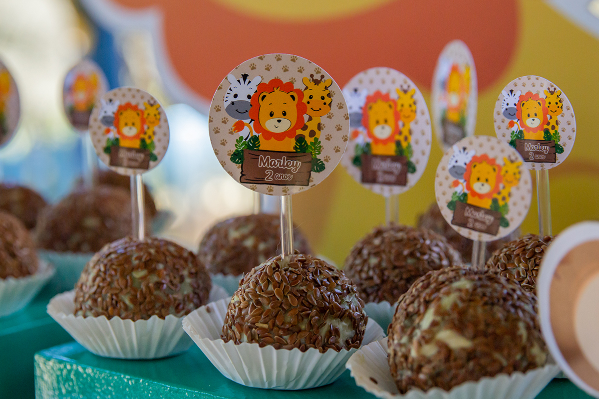 Decoração tema safari do marley 