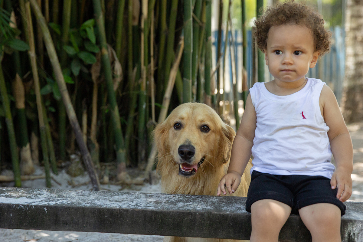 Cão com sue irmão humano se divertindo