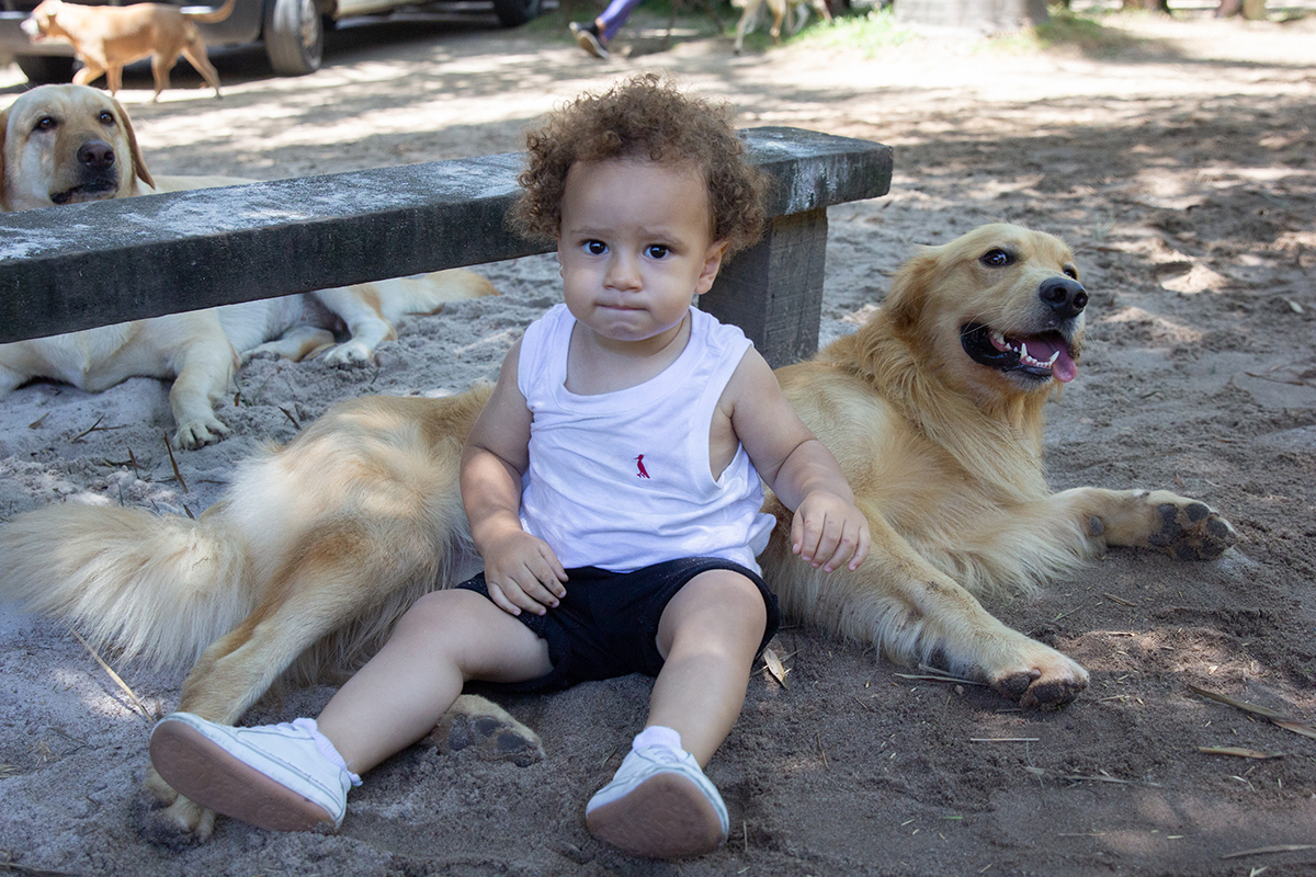 Cão com sue irmão humano se divertindo