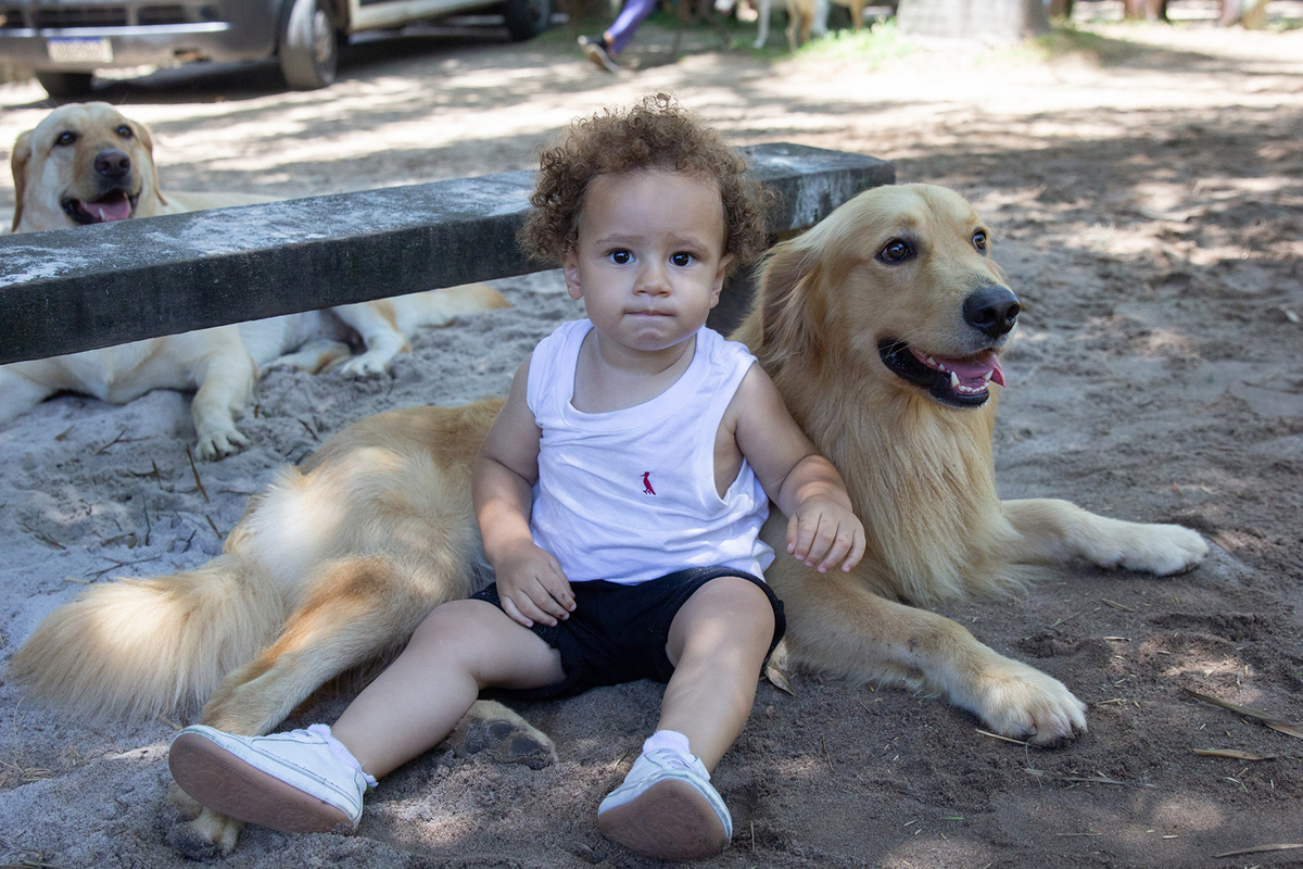 Cão com sue irmão humano se divertindo
