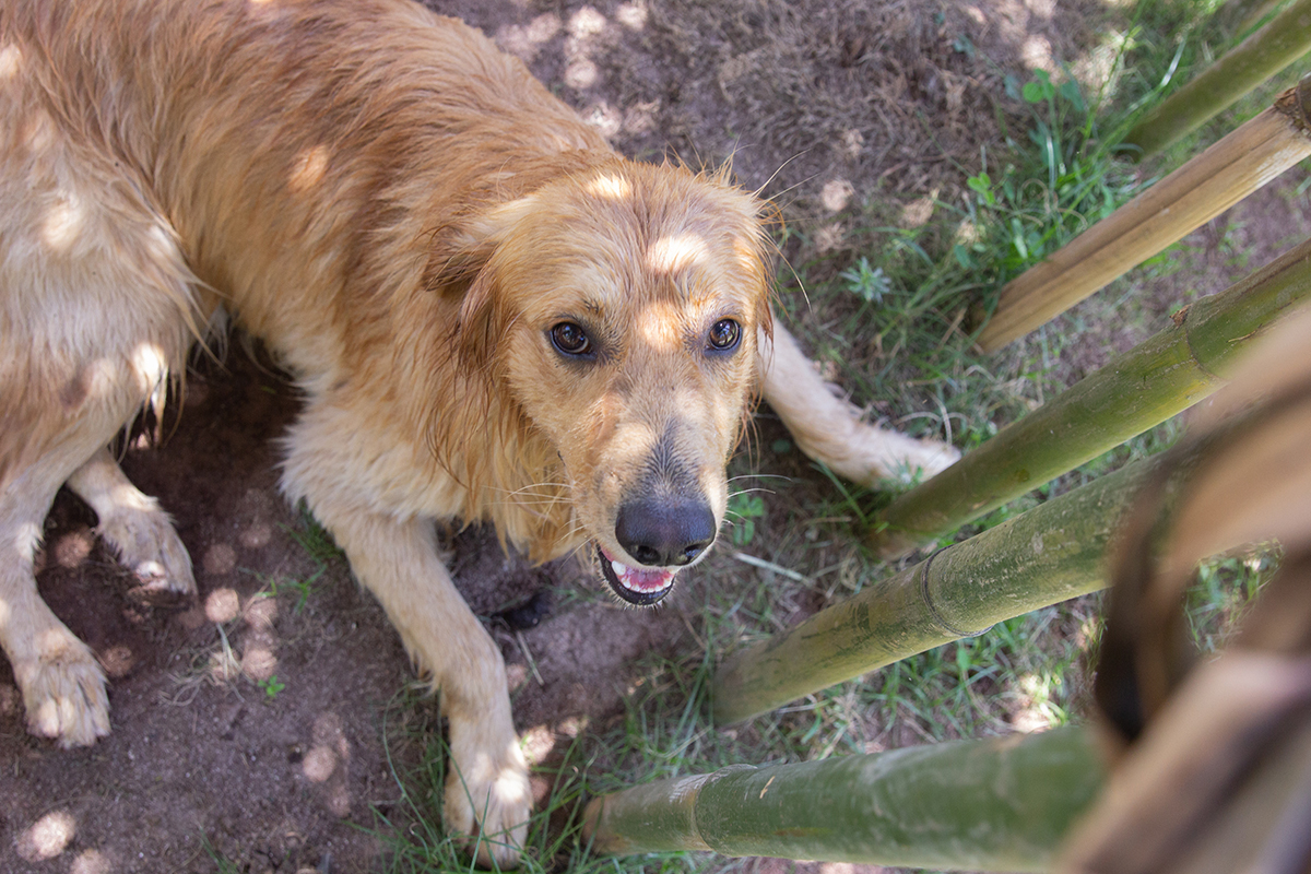 aniversariante se divertindo