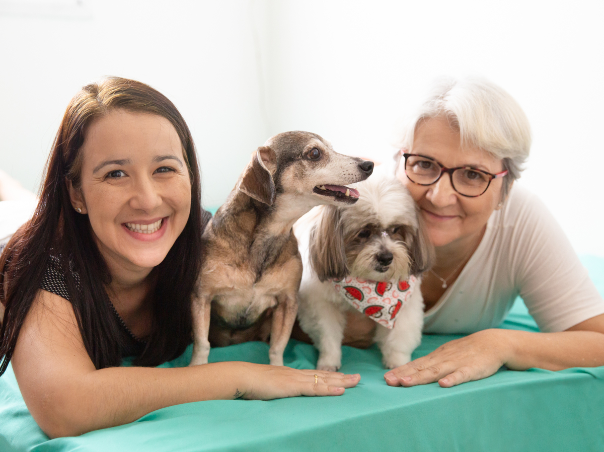 fotografia-pet-familia-cachorro- basset-shihtzu-espirito-santo 