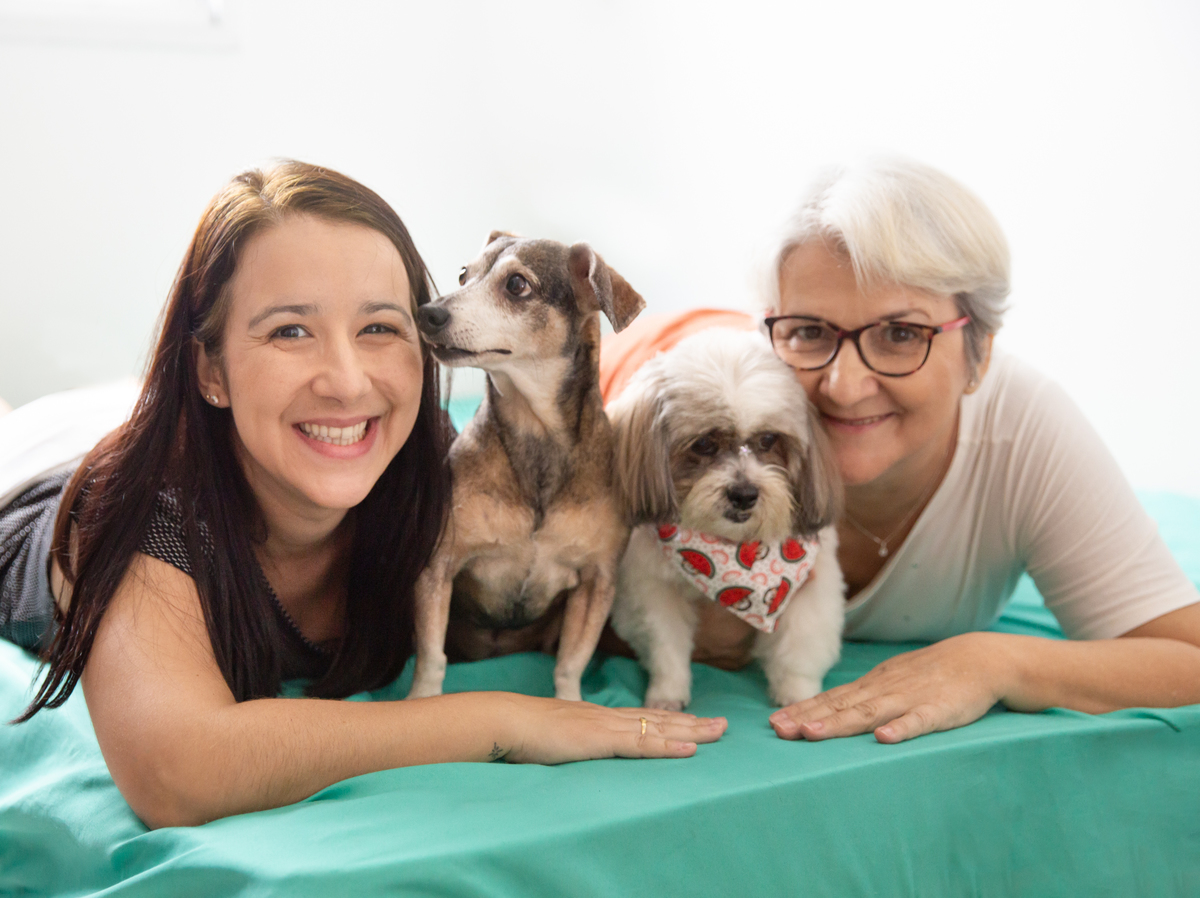 fotografia-pet-familia-cachorro- basset-shihtzu-espirito-santo 
