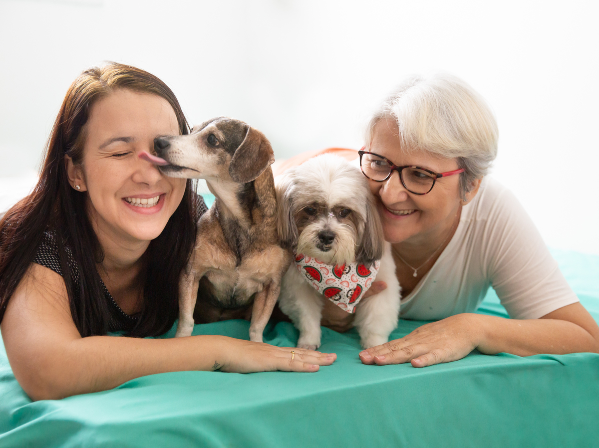 fotografia-pet-familia-cachorro- basset-shihtzu-espirito-santo 