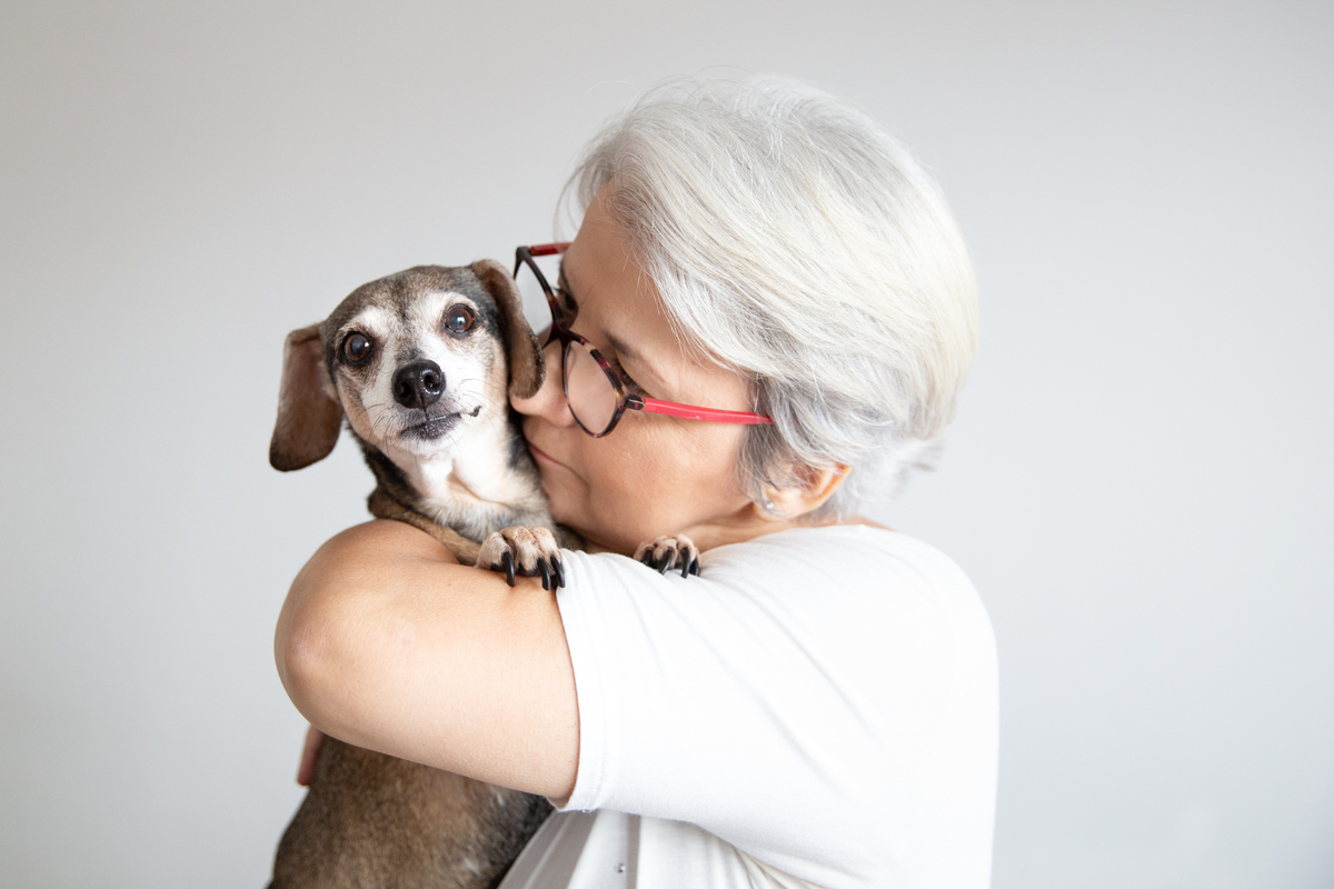 fotografia-pet-familia-cachorro- basset-espirito-santo 