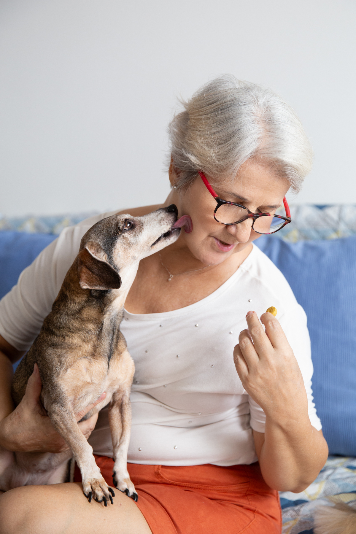fotografia-pet-familia-cachorro- basset-espirito-santo 