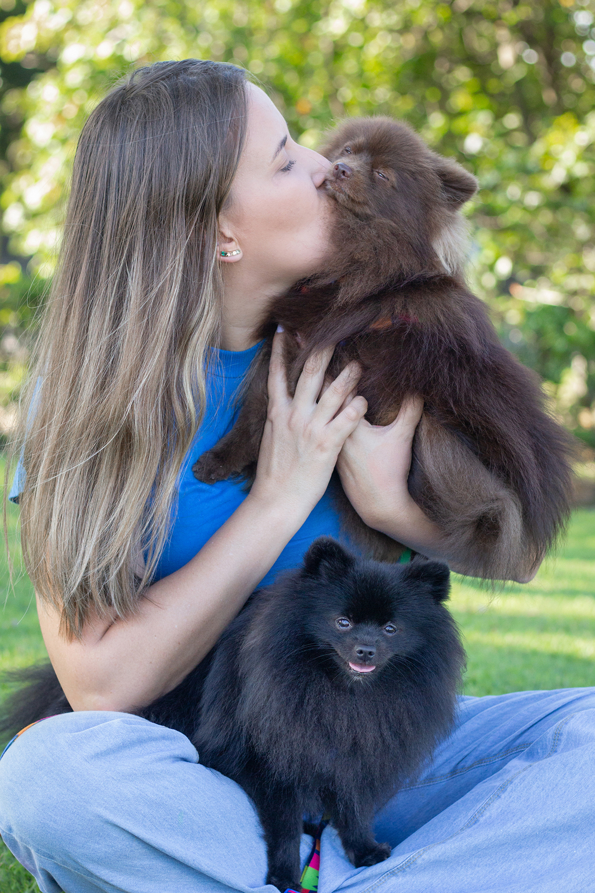 fotografia-pet-cachorro-spitz-praia-espirito-santo 
