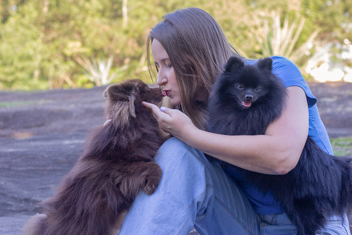 fotografia-pet-cachorro-spitz-praia-espirito-santo 