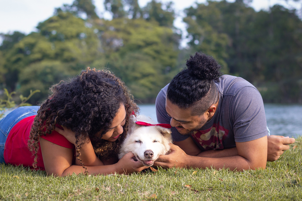 fotografia-pet-familia-shihtzu-poodle-husk-pet-idoso-vitoria-espirito-santo