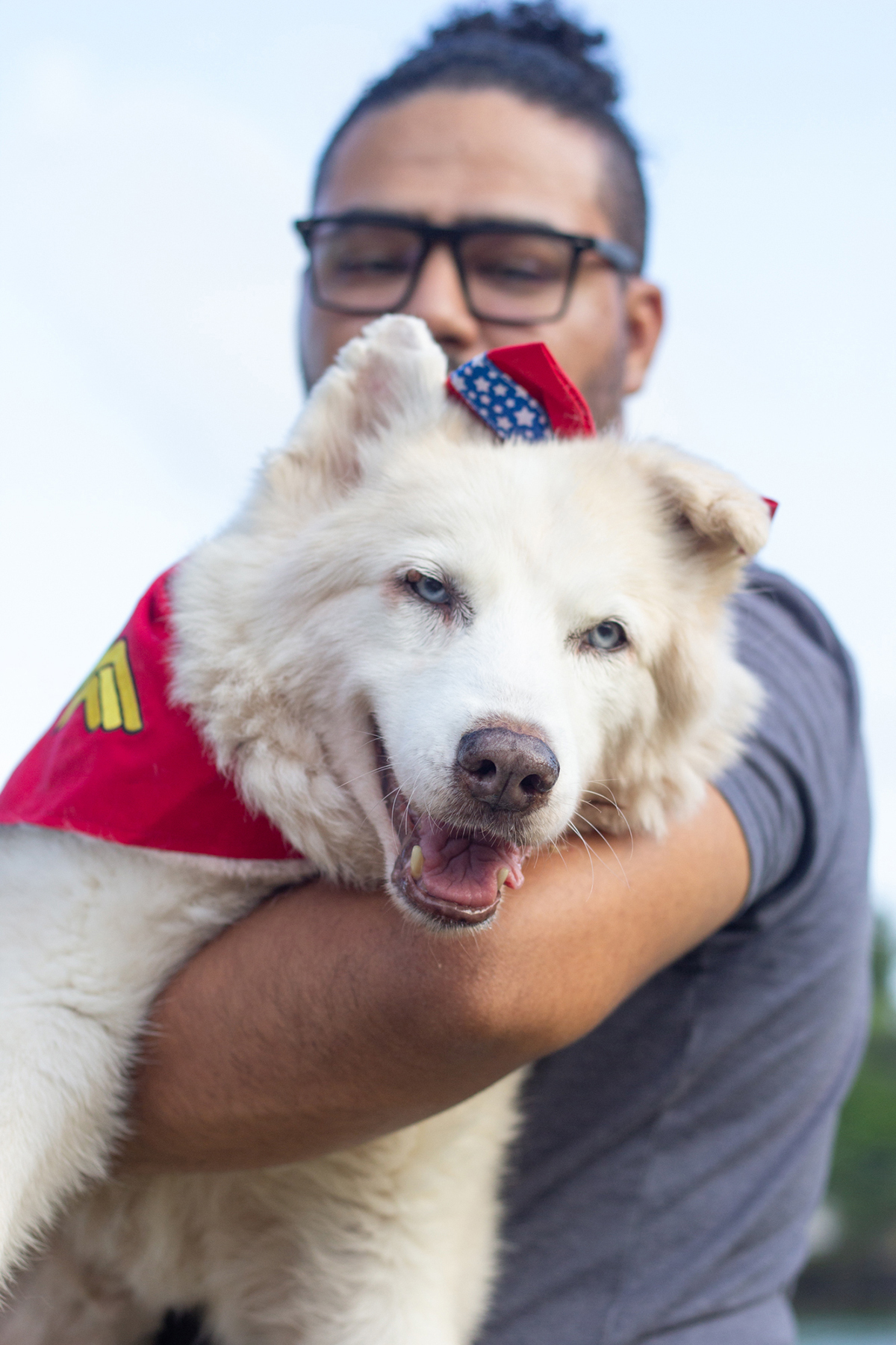 fotografia-pet-familia-shihtzu-poodle-husk-pet-idoso-vitoria-espirito-santo