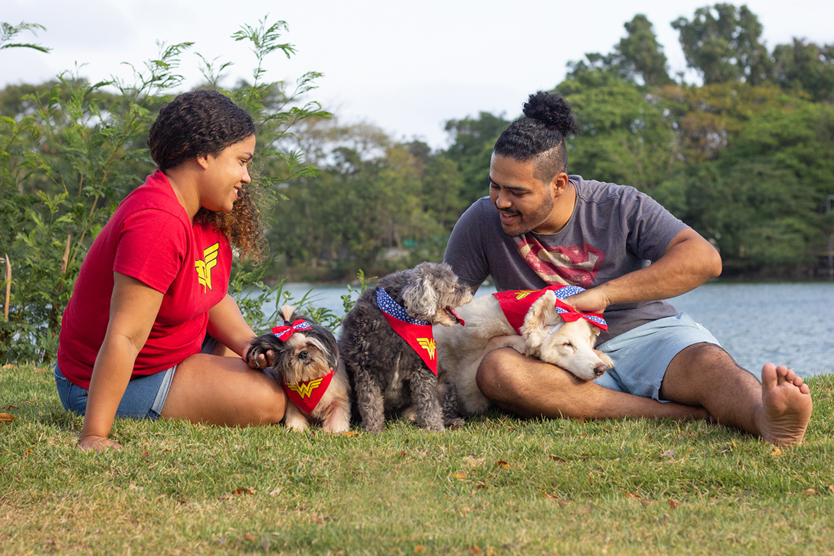 fotografia-pet-familia-shihtzu-poodle-husk-pet-idoso-vitoria-espirito-santo