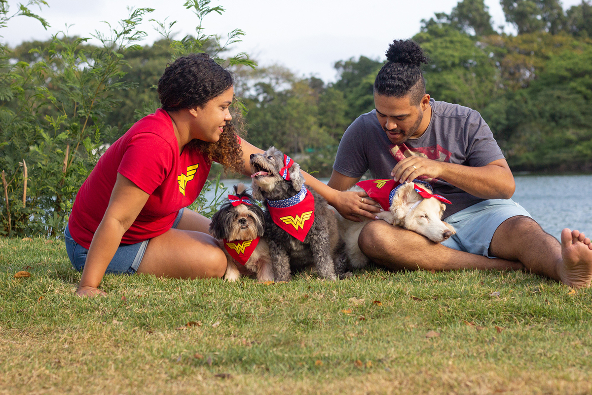 fotografia-pet-familia-shihtzu-poodle-husk-pet-idoso-vitoria-espirito-santo