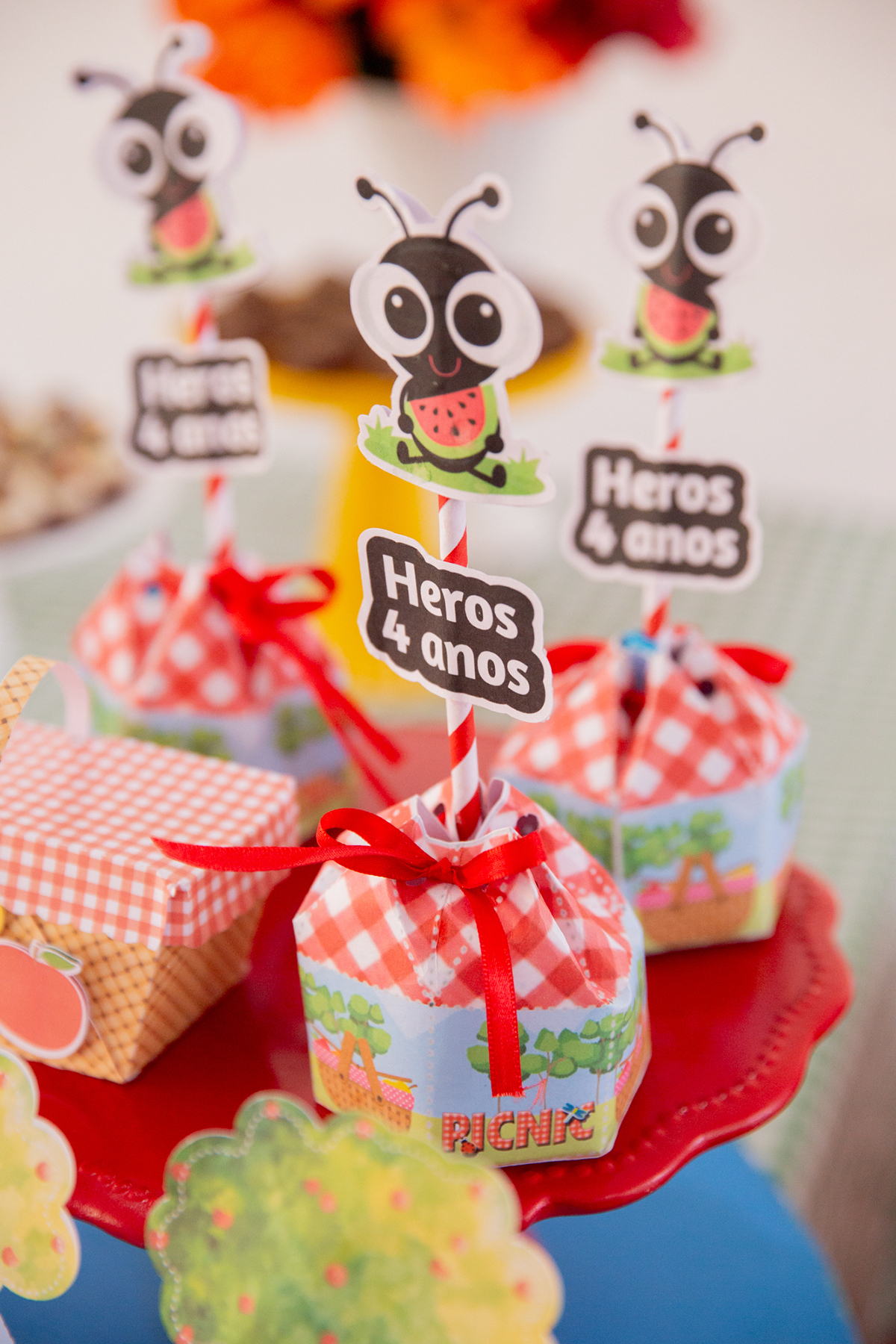 fotografia-ensaio-pet-aniversario-decoracao-picninc-vila-velha (9)