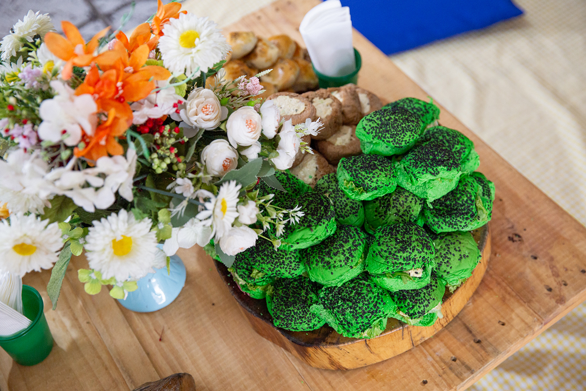 fotografia-ensaio-pet-aniversario-decoracao-picninc-vila-velha (9)