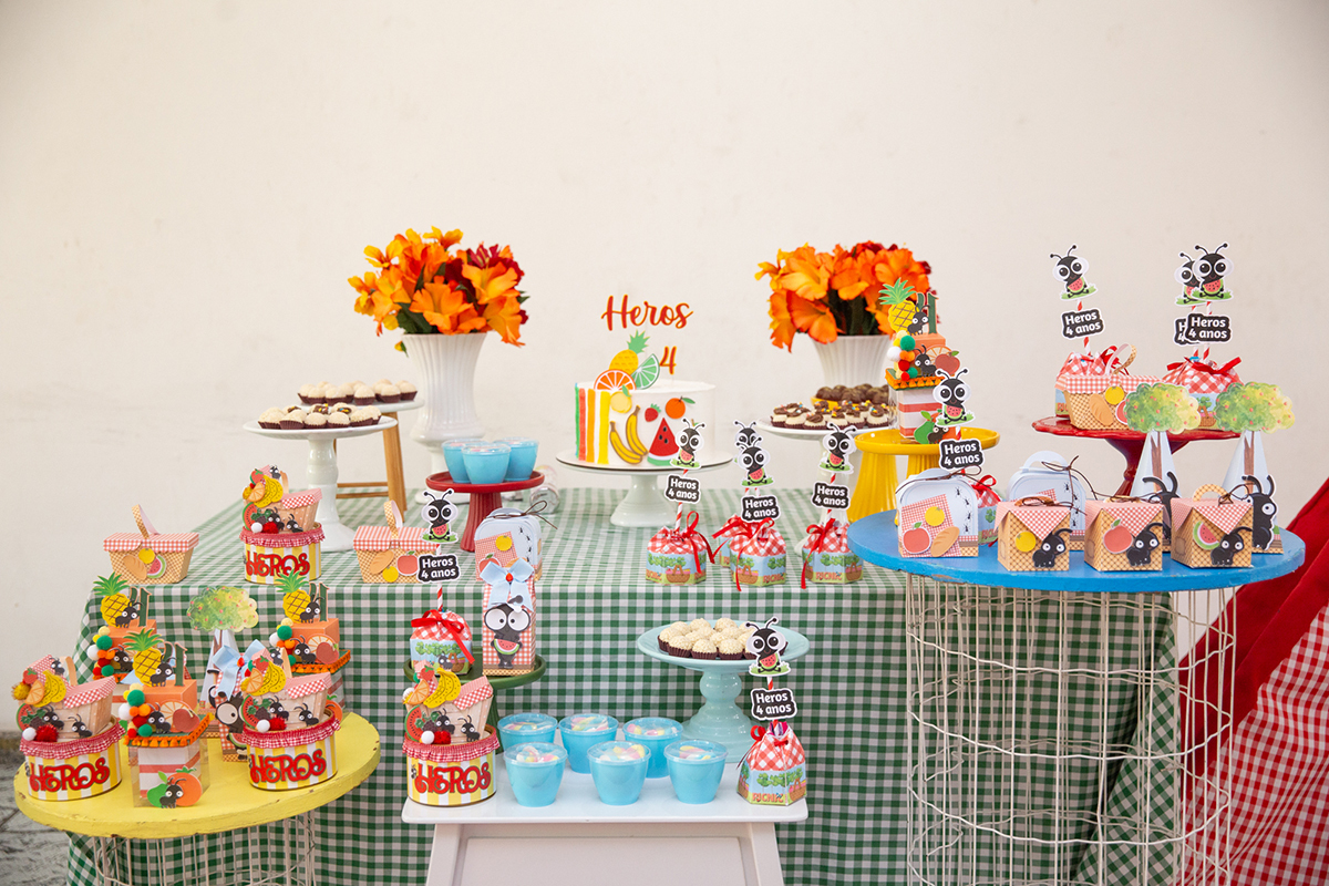 fotografia-ensaio-pet-aniversario-decoracao-picninc-vila-velha (9)