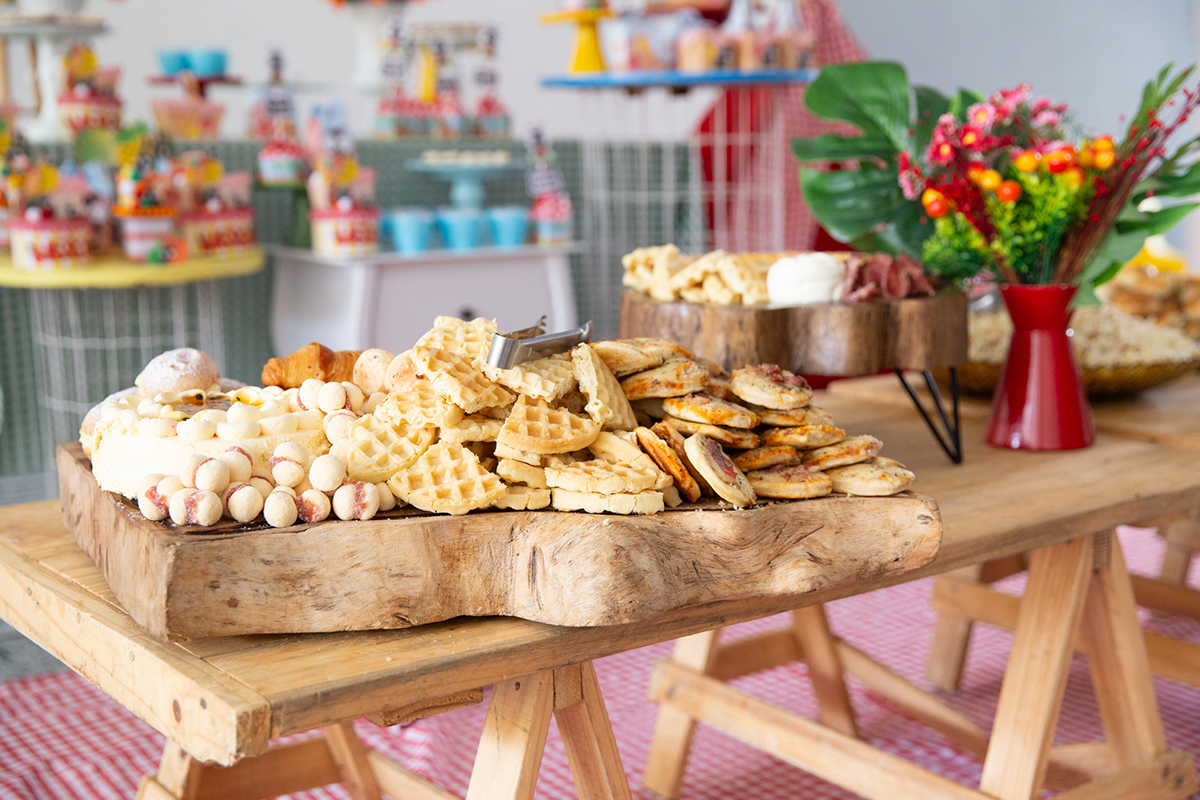 fotografia-ensaio-pet-aniversario-decoracao-picninc-vila-velha