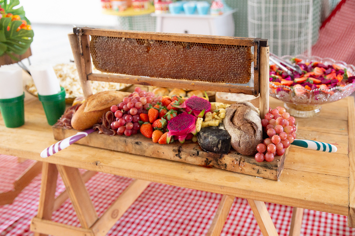 fotografia-ensaio-pet-aniversario-decoracao-picninc-vila-velha