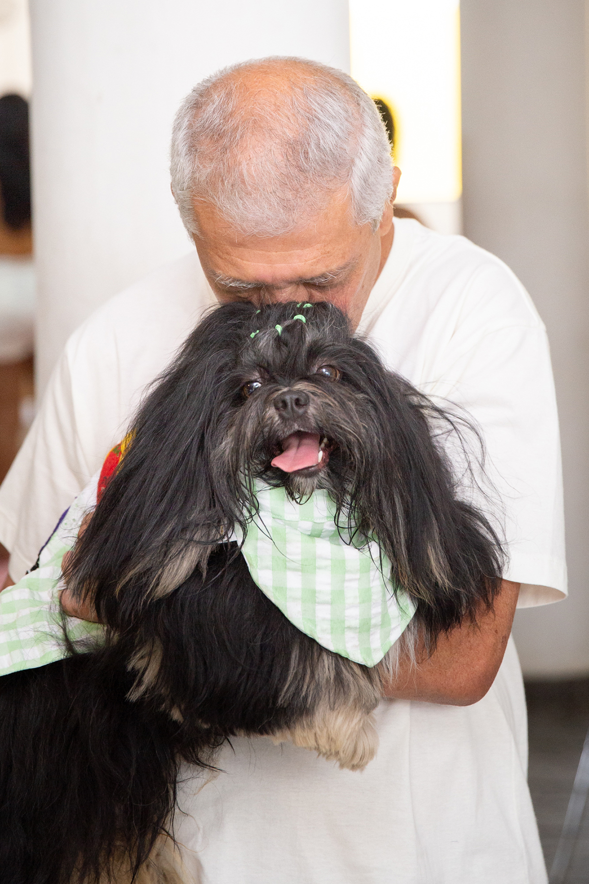fotografia-ensaio-pet-aniversario-familia-shihtzu-vila-velha